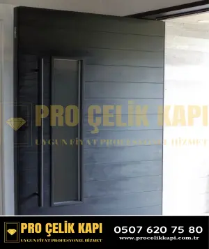 Güngören Pivot Kapı - Model 38